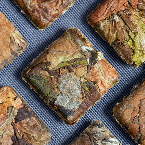 Wild Sweet White Tea from Yunnan(2g*10 pieces*6) - Yunnan White Tea - A Unique and Delicious Experience